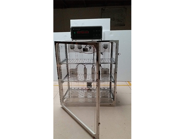 動物培養(yǎng)箱