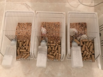 長(zhǎng)沙華曦電子科技有限公司,長(zhǎng)沙三氣培養(yǎng)箱,長(zhǎng)沙二氧化碳檢測(cè)儀,氧氣控制器